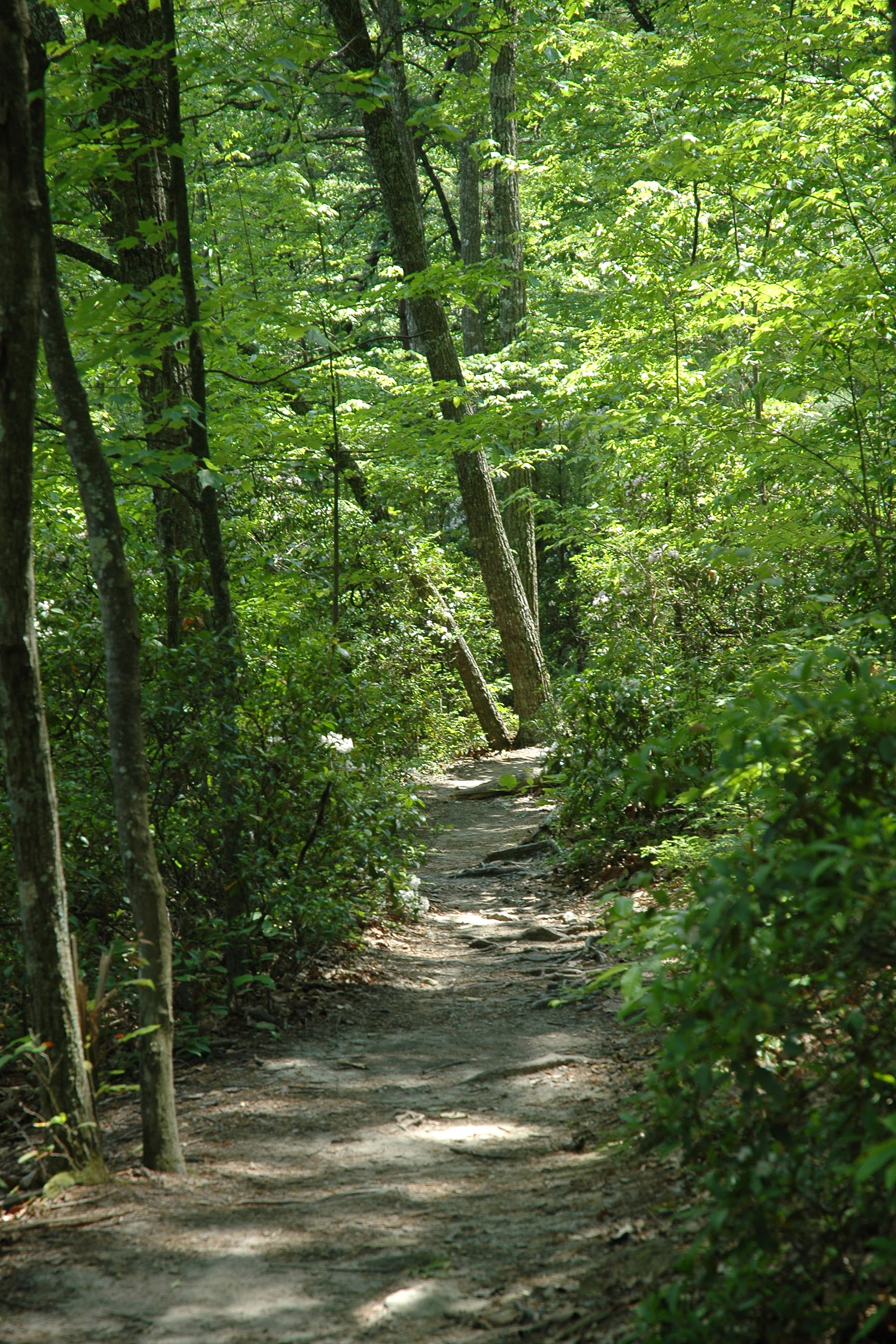 Pathway